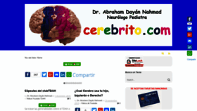 What Cerebrito.com website looked like in 2019 (5 years ago)