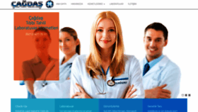 What Cagdaslab.net website looked like in 2019 (7 years ago)