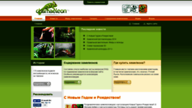 What Chamaeleon.ru website looked like in 2019 (5 years ago)