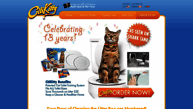 What Citikitty.com website looked like in 2019 (5 years ago)