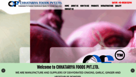 What Chhatariyafoods.com website looked like in 2019 (5 years ago)