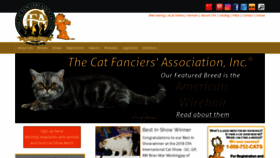 What Cfa.org website looked like in 2019 (5 years ago)