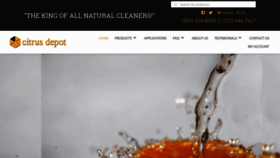 What Citrusdepot.net website looked like in 2019 (6 years ago)