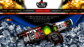 What Csikisor.com website looked like in 2019 (5 years ago)