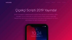 What Cicek-scripti.com website looked like in 2019 (5 years ago)