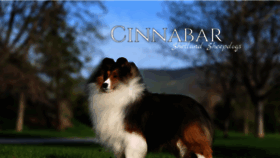 What Cinnabarshetlandsheepdogs.com website looked like in 2019 (4 years ago)