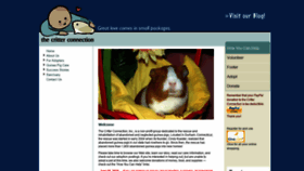 What Ctguineapigrescue.org website looked like in 2019 (4 years ago)