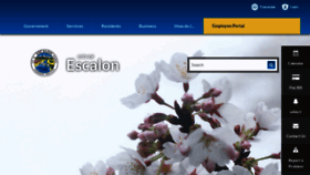 What Cityofescalon.org website looked like in 2019 (4 years ago)