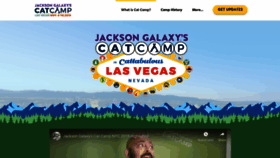 What Catcamp.com website looked like in 2019 (4 years ago)