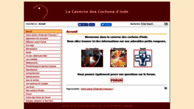 What Chons.fr website looked like in 2019 (4 years ago)
