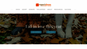 What Coppersdream.org website looked like in 2019 (4 years ago)