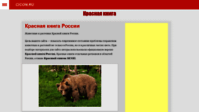 What Cicon.ru website looked like in 2019 (4 years ago)