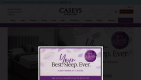 What Caseys.ie website looked like in 2019 (4 years ago)