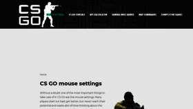 What Csgosetup.com website looked like in 2019 (4 years ago)