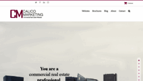 What Calicomarketing.com website looked like in 2019 (4 years ago)