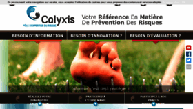 What Calyxis.fr website looked like in 2019 (4 years ago)