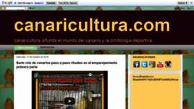 What Canaricultura.com website looked like in 2019 (4 years ago)