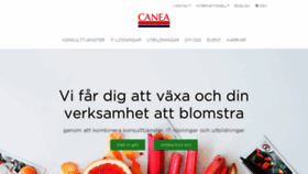 What Canea.se website looked like in 2019 (4 years ago)