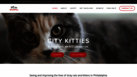 What Citykitties.org website looked like in 2019 (4 years ago)