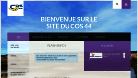 What Cos44.fr website looked like in 2019 (4 years ago)