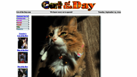 What Catoftheday.com website looked like in 2019 (4 years ago)