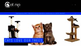 What Catniptoys.com website looked like in 2019 (4 years ago)