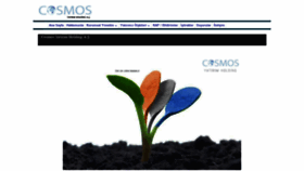 What Cosmosholding.com website looked like in 2019 (4 years ago)