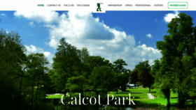 What Calcotpark.com website looked like in 2019 (4 years ago)