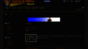 What Caccia-e-pesca.com website looked like in 2019 (4 years ago)