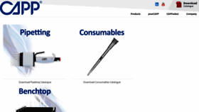 What Capp.dk website looked like in 2019 (4 years ago)