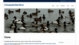 What Chesapeake-bay.org website looked like in 2019 (4 years ago)