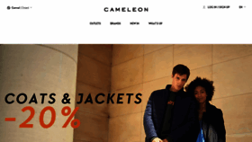 What Cameleon.be website looked like in 2019 (4 years ago)