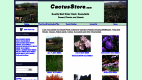 What Cactusstore.com website looked like in 2019 (4 years ago)