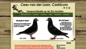 What Ceesvanderlaan.nl website looked like in 2019 (4 years ago)