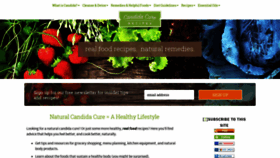 What Candida-cure-recipes.com website looked like in 2019 (4 years ago)