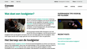 What Conseo.nl website looked like in 2019 (4 years ago)