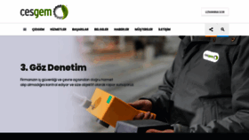 What Cesgem.com.tr website looked like in 2019 (4 years ago)