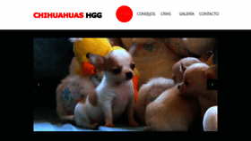 What Chihuahuashgg.com website looked like in 2019 (4 years ago)