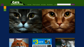 What Catsinternational.org website looked like in 2019 (4 years ago)