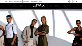What Catwalkmodels.ie website looked like in 2019 (4 years ago)