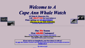 What Caww.com website looked like in 2019 (4 years ago)