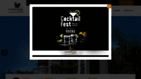 What Copperfolia.com website looked like in 2019 (4 years ago)