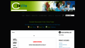 What Czavite.com website looked like in 2019 (4 years ago)