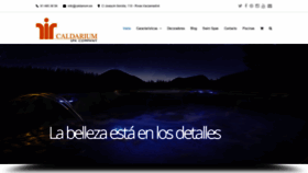 What Caldarium.es website looked like in 2019 (4 years ago)