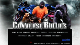 What Conversebullies.com website looked like in 2019 (4 years ago)