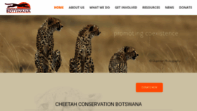 What Cheetahconservationbotswana.org website looked like in 2019 (4 years ago)