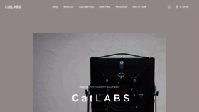 What Catlabs.info website looked like in 2019 (4 years ago)