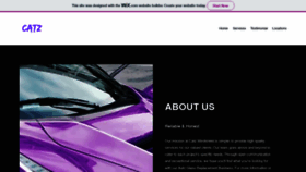 What Catzwindshield.com website looked like in 2019 (4 years ago)