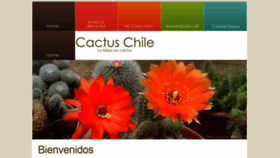 What Cactus-chile.cl website looked like in 2019 (4 years ago)