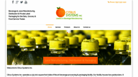 What Citrussystems.com website looked like in 2019 (4 years ago)